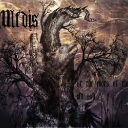 Ulfdis : At the Roots of the Old Ash